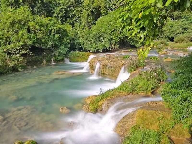 新春走基层丨春节临近 “中国淡水鱼都”百年鱼市销售旺