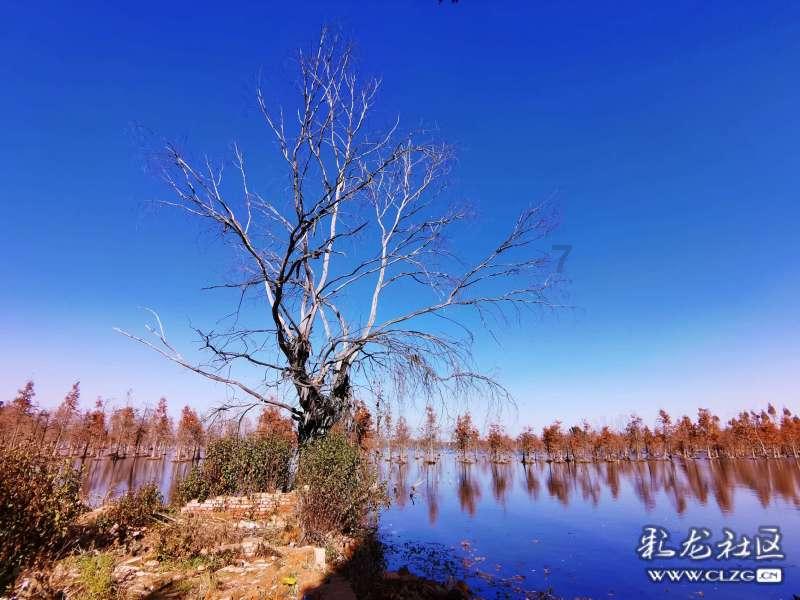 陕西机场公安公布打击整治“机闹”行为5起典型案例