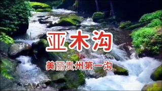 为什么消除偏见很难？游戏画面