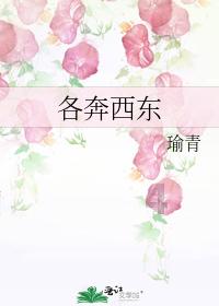 大山羔羊逃生