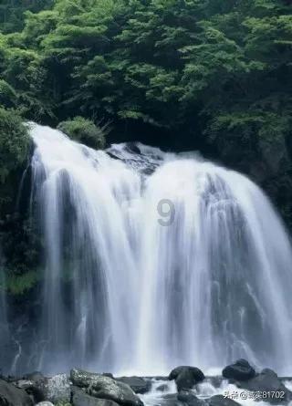 燃烧吧大脑免广告最新版
