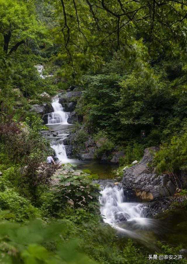 小糯玉米产业为乡村振兴“添油加码”