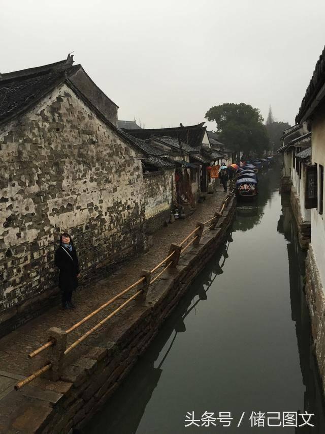 植物大战僵尸13