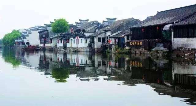 僵尸猎人赏金大赛