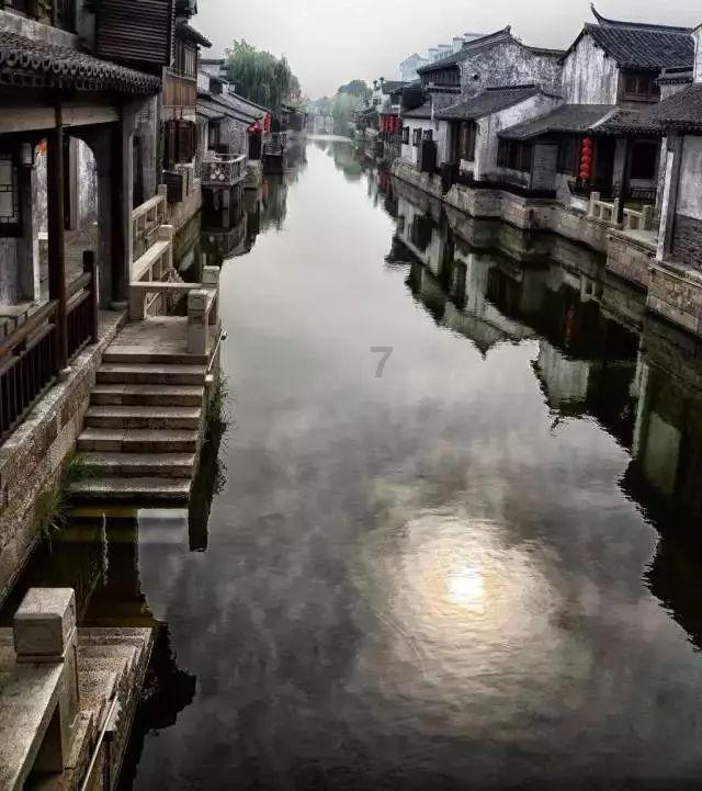这是什么品种的狗狗?,解答你的疑惑!