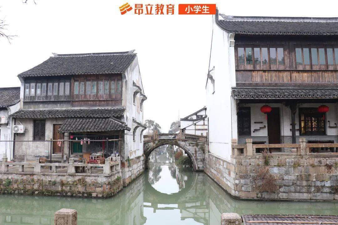 春雨直播app